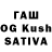 Галлюциногенные грибы Magic Shrooms mostafa Sami