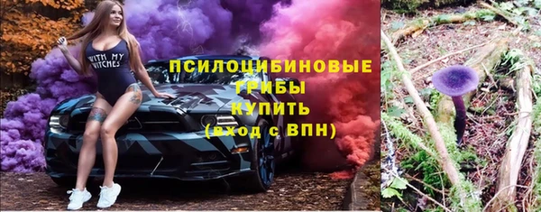 мдпв Кукмор