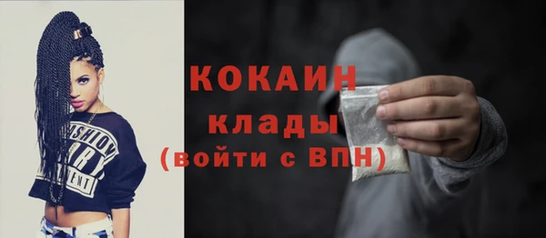 мдпв Кукмор