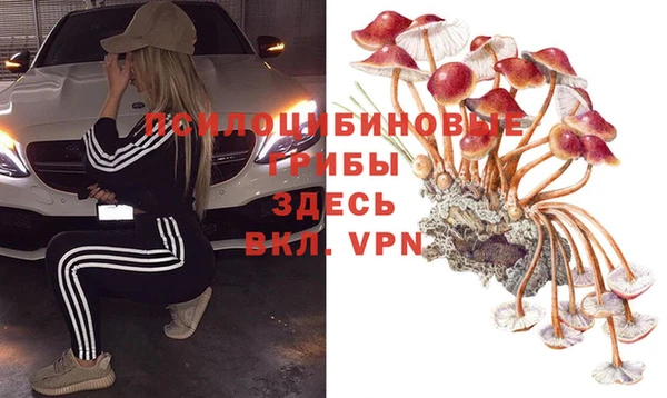 твердый Кулебаки