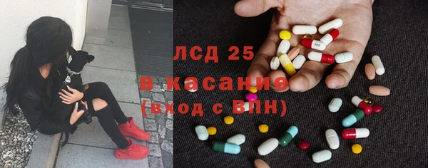 твердый Кулебаки
